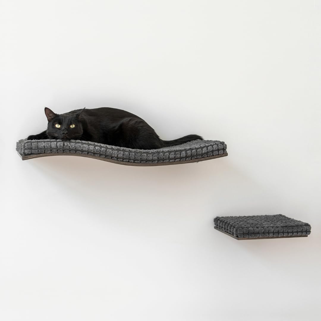 Society6 ケース Floating Cats by Kitten Rain Society6 ケース Floating Cats by Kitten Rain Floating Cats