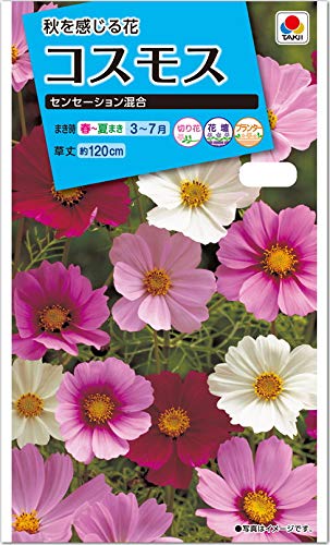 Amazon.co.jp: コスモス 種子 タキイ交配 センセーション 混合