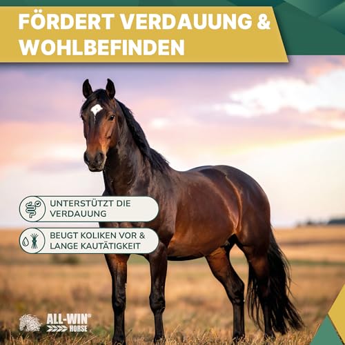 ALL-WIN Horse Wafer Alfalfa + Avena 18 kg | Getreidefreies Pferdefutter ohne Zuckerzusatz | Mit Luzerne & Grünhafer – Fördert Verdauung, Kautätigkeit & Muskelaufbau | Natürliches Ergänzungsfutter