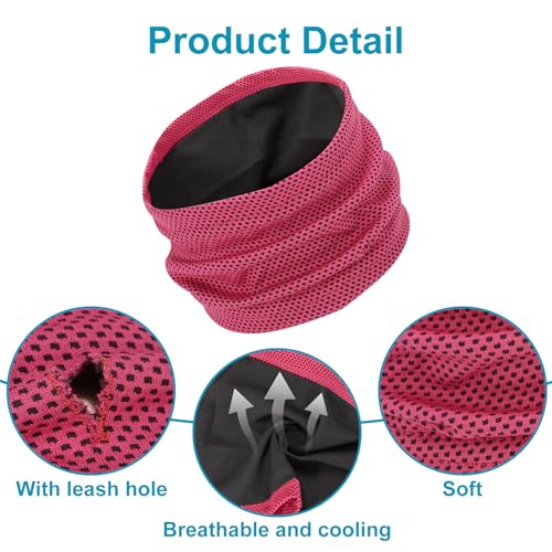Kühlhalsband für Hunde, Hunde halstücher Kühlend, Hundehalsband Kühlend, Kühlendes Hundehalsband, Geeignet für Kühlhunde im Sommer, 55 x 16 cm