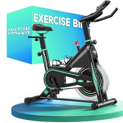 DMASUN Bicicleta Estática en Casa con Resistencia Ajustable Bicicleta Estatica Silenciosa con Monitor LED Cómodo Cojín de Asiento App Propia Capacidad de 160 kg Entrenamiento Aeróbico
