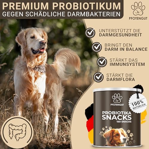 PFOTENGUT® Verdauungssnacks für Hunde [Made IN Germany] - 150 Snacks zur Förderung der Darmflora & Verdauung - Leckerlis zur Stärkung des Immunsystems - Probiotika Hund - Darmflora Aufbau Hund