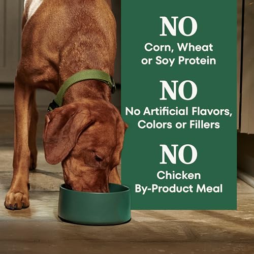 Image of Nutro Natural Choice Large Breed Adult Dry Dog Food, Lamb & Rice, 36 lb