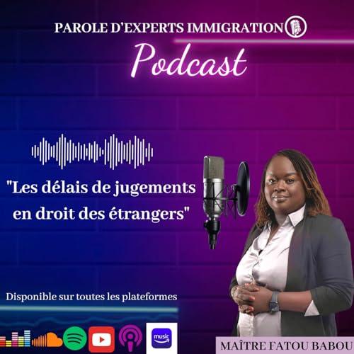 『Les délais de jugements en droit des étrangers』のカバーアート