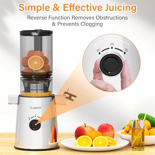 Cold Press Juicer, Masticating Juicer with Large Feed Chute Fit Whole Fruits & Vegetables,Stainless Steel Slow Masticating Juicer Easy to Clean, 99.6% Juice Purity, Metallic Silve - Image 6
