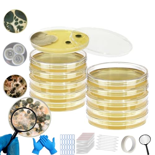 Mold Test Kit for Home,Mold Test Kit with 10 Indoor Mold air Test, Mold Detector for Home,Rapid Lab-Accurate Detection for Air & Surface Mold in Basements, Bathrooms & HVAC Systems