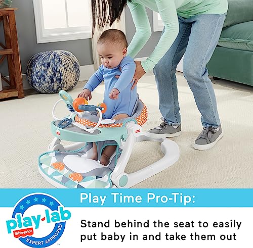 Image of Fisher-Price Portable Baby Chair Sit-Me-Up Floor Seat With Snack Tray And Removable Bar, Penguin Island