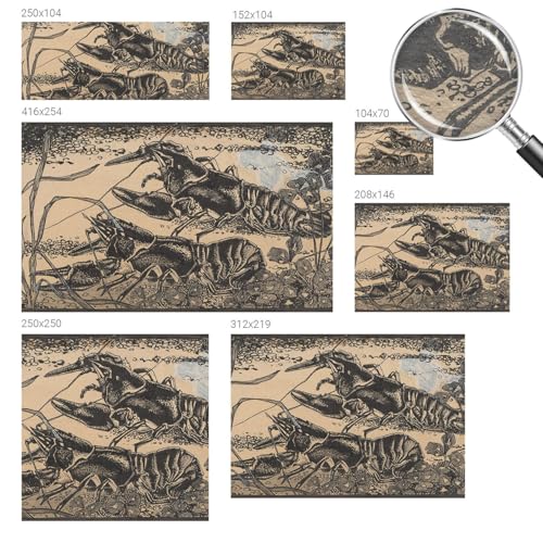 Impression de haute qualité pour ce papier peint intissé écrevisses d'eau 312x219 - 6