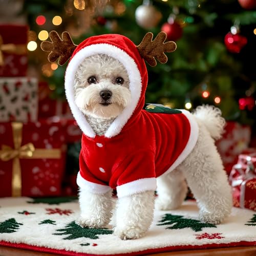 Haustier Weihnachtskostüm, Hundekostüme Weihnachten Elchkostüm, Katze Hund Weihnachtskostüm, Rentier Hundekostüm Pet Hoodies warme Hundemantel für Winter Frühling Weihnachten (L)