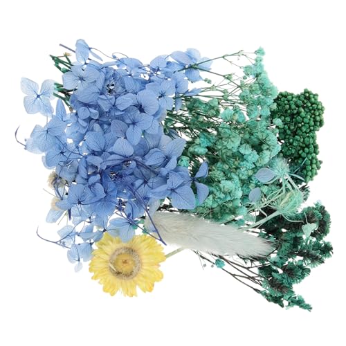 Flores secas prensadas para manualidades y decoración miniatura 1