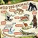 Zippytots 9 PCS Zoo Animal Toys for Kids 3-5 Realistic Plastic Wild Animal Figurine Toys Educational Learning Toy for Kids Boys Girls Toddlers