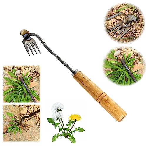 Top 10 Best Long Handled Weeding Tools Reviews & Buying Guide Katynel