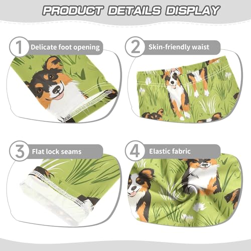 Australian Shepherd Girls Leggings,Workout Leggings for Girls Toddler Athletic Legging Size for 3-10T3