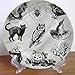 ousente 20 cm vintage Halloween ceramiczny talerz dekoracyjny, kruk sowa pająk ceramiczna kamionka talerz dekoracyjny, ceramiczny ornament dekoracyjny dodatek do domu i biura dekoracje ścienne rodzinne sentyment