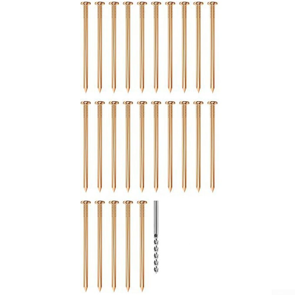 Clous en cuivre de 8,9 cm avec foret pour nettoyer un terrain arboré