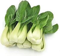 HipGirl Baby Bok Choy Seeds Shanghai Pak Choi - 700+ Non-GMO Heirloom for Microgreens, Baby Greens & Home Garden