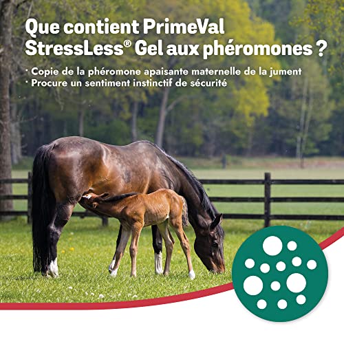 Phéromones pour cheval stressé PRIMEVAL solution naturelle contre l'anxiété
