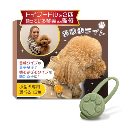 UCg LED (^p)ygCv[2C̈ƊďCփ^Cv▾邷^CvqɌč܂Izy10gł񂱂̕SɂȂȂf (X[L[O[)