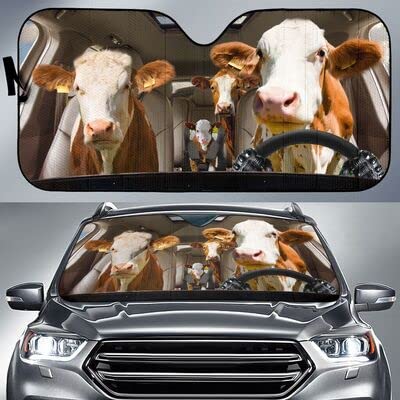 Couverture pare-brise voiture intérieur pliable taille L universelle