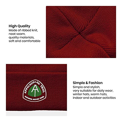 Image of Embroidery Goth Beanie Knit Hats for Men & Women, Embroidery Winter Hats Skull Cap