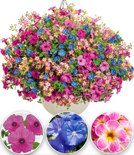 BALDUR Garten 6er Candy-Stick-Mix, Pflanzen im 10,5 cm-Topf, Sommerblumen-Mischung, extrastarke Blüh- & Wuchsvorteile, Tipp für Ampeln & Kästen, farbenfroh & pflegeleicht, lange Blütezeit