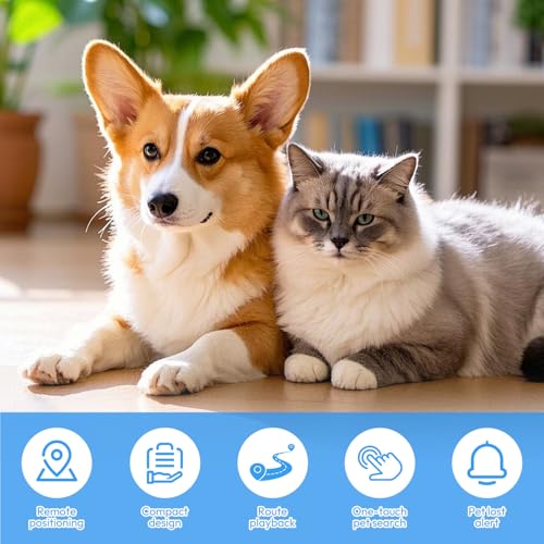 XJJAUGKLY GPS Tracker Katze, Wasserdicht Bluetooth Haustier Locator, GPS Tracker Für Hunde ohne ABO, mit verstellbarem Halsband, Kompatibel mit iOS und Android, für Kätzchen & Welpen - Schwarz
