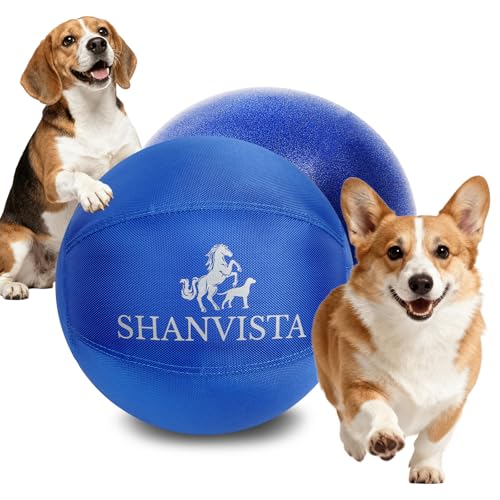 SHANVISTA 14 Inch Herding Ball
