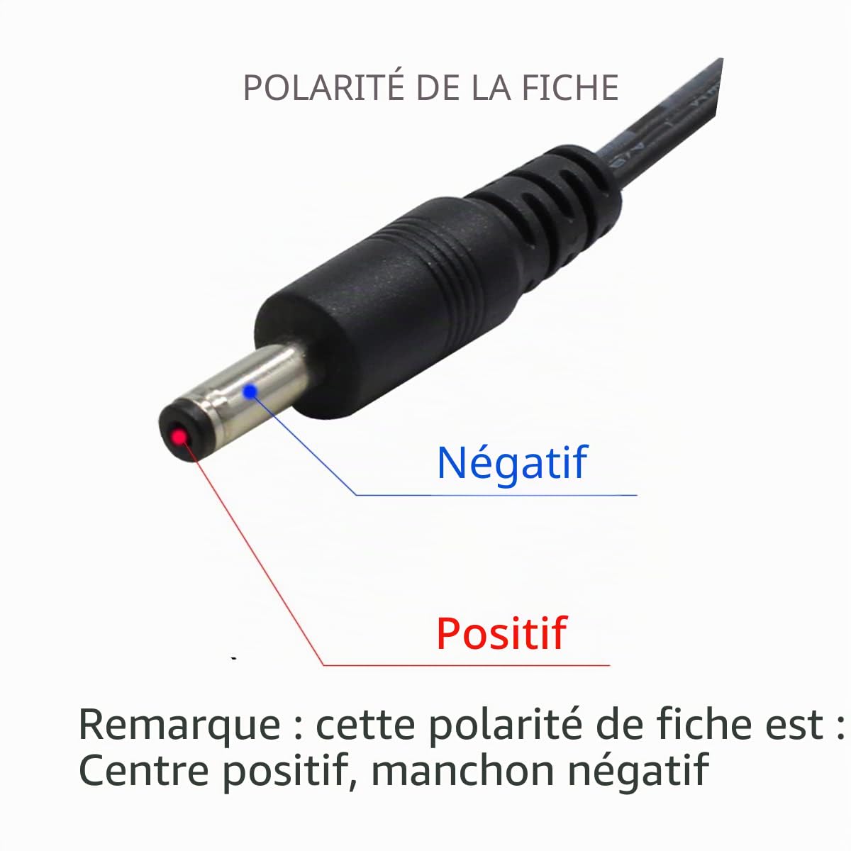 Adaptateur Secteur AC à DC 9,5V 1A, Fiche 4,8 mm x 1,7 mm, Centre Positif, pour Clavier Piano Casio spécifié - Compatible Uniquement avec Les modèles listés