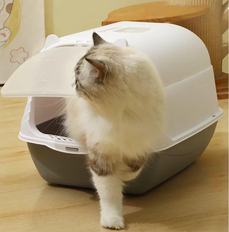 Image of Store2508 Covered Cat Litter Box with Door and Odour Filter | Enclosed Kitty Toilet Pan with Scoop Holder | Anti-Splash Dustproof Pet Toilet for Indoor Cats (35 x 45 x 35 cm)