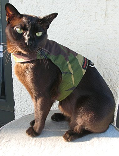Mynwood Cat Jacke /Geschirre Grün Kampf Erwachsene Katze ausbruchsicher Cover
