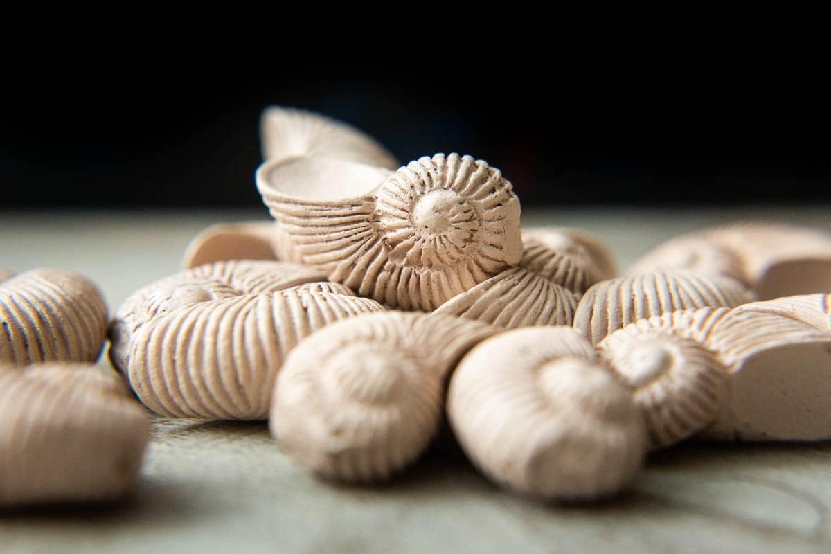 Red Raven Deep Vents Game