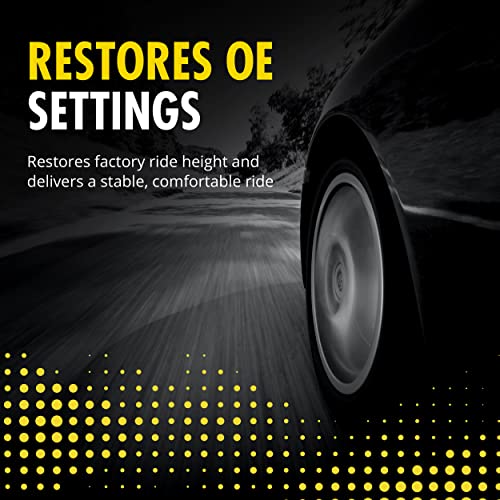 Monroe Shocks & Struts Monroe 40047 Suspension Strut #TOP3