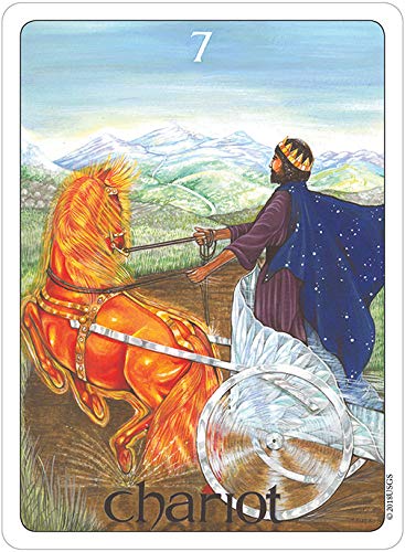 The Gill Tarot Deck : Amazon.ca: Toys & Games