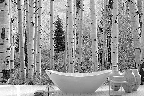 12' Wide By 8' High (144" X 96") Wall Art Mural Photo Of Black & White Aspen Forest Hd Diy 3D Removable Reusable Murals Pre-Pasted Water Activated Self Adhesive Wallpaper #TOP1