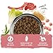 bosch HPC Adult mit Lamm & Reis | Hundetrockenfutter für ausgewachsene Hunde aller Rassen | 1 x 15 kg