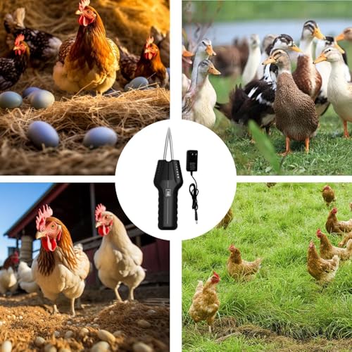Máquina de desplumar de mano eléctrica y herramienta para quitar plumas de pato 6