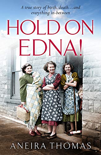 Hold On Edna! view 2