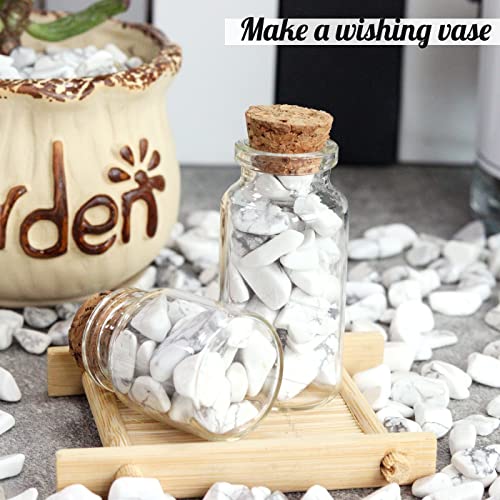 Image of 1lb Howlite Aquarium Gravel Rocks Natural Tumbled Healing Crystal Chips Bulk Gemstones Crushed Stones for Fountain Vase Filler Planters Decorative Fish Tank Potted Reiki Energy Balancing