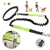 Nylon Buffered Strap: Cordón retráctil, que le permite a su perro ser más libre y fuerte cuando corre.