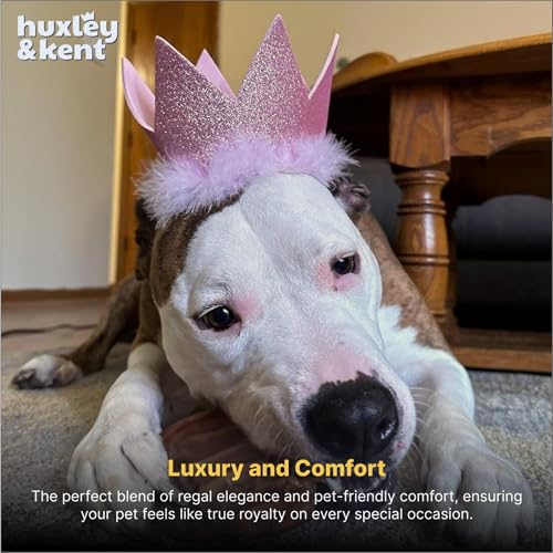 Corona para mascotas Huxley & Kent tamaño pequeño miniatura 6