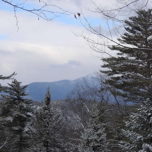 IT'S A BEAUTIFUL MORNING