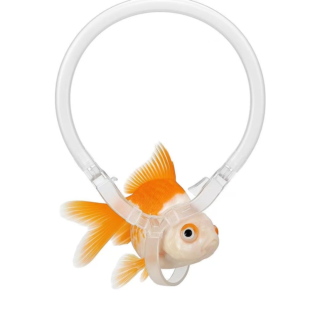 Handmade Adjustable Fish Buoyancy Support Harness – Floating Support Ring for Various Fancy Goldfish, Helps Maintain Upright Position & Swimming Balance (Fits Back Length up to 8" (20cm))