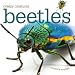 Creepy Creatures: Beetles