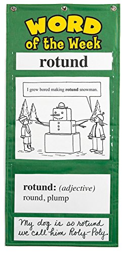 Educational Insights Word Of The Week Vocabulary Pocket Chart Grade 4