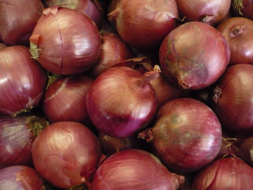 kCY 󂠂莇ʂ˂iԋʂ˂jM`2LTCY T