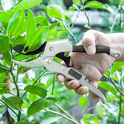 Image of Steel Blade Sharp Anvil Garden Scissors Hedge Pruning Shears, Silver & Black