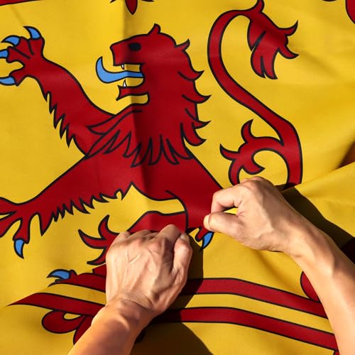 Drapeau Lion rampant Écosse indéchirable résistant au vent double face Anley