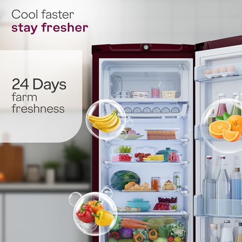 Image of Godrej 234 L 5 Star 5 Years Comprehensive Warranty Hygiene+ Inverter Technology 2.25L Bottle Space Direct Cool Single Door Refrigerator (RD EDGEPRO 255E TAI MN WN, Marine Wine)