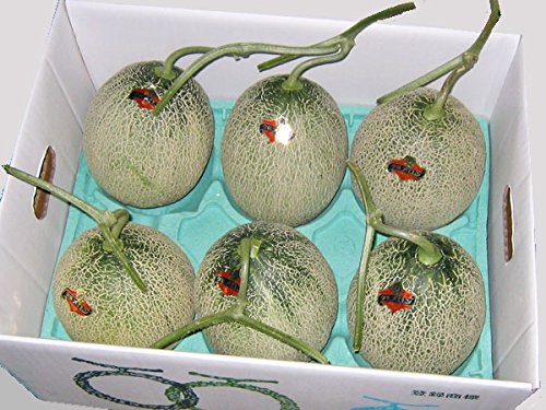 夕張メロン 6玉8キロ① Amazon.co.jp: 北海道夕張産 夕張メロン6玉（共撰・優品・8kg） : 食品