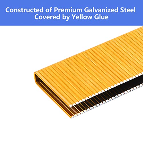 Image of 18 Gauge 1 /4 inch Narrow Crown Staples 1-1 /4 Inch Leg,3000-Pack | Galvanized Coating Resists Rust for Indoor Woodworking & Decoration for 18GA 1 /4 inch Crown Electric Staplers and Staple Guns